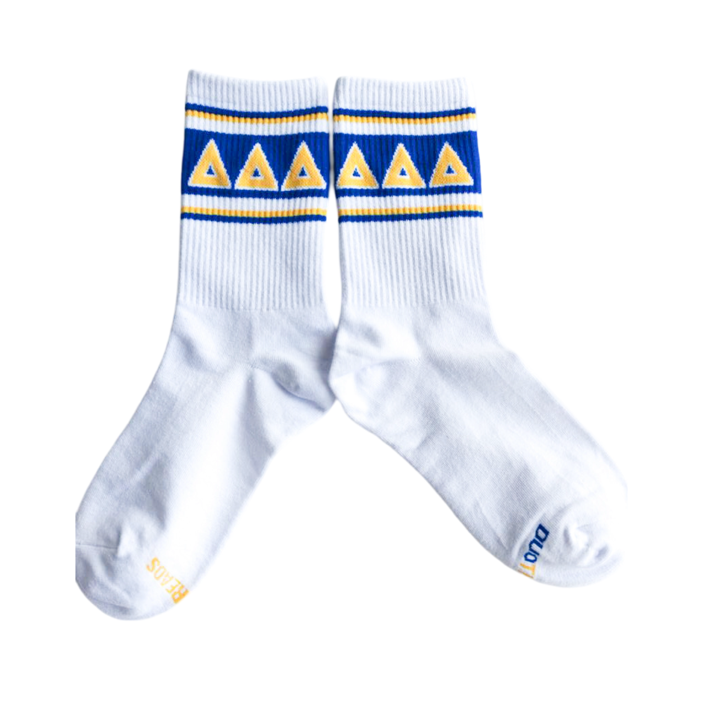Sorority Socks: SIGMA KAPPA