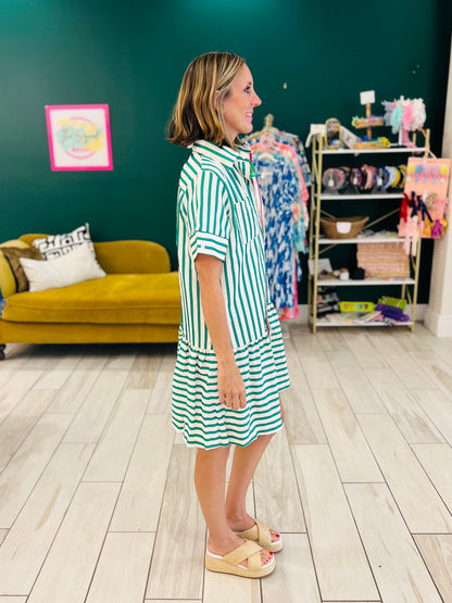 Textured button down green stripe dress with hot pink trim
