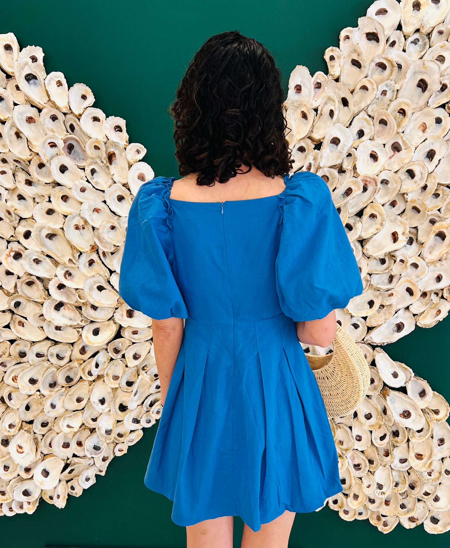 Moon River PUFF SLEEVE MINI DRESS